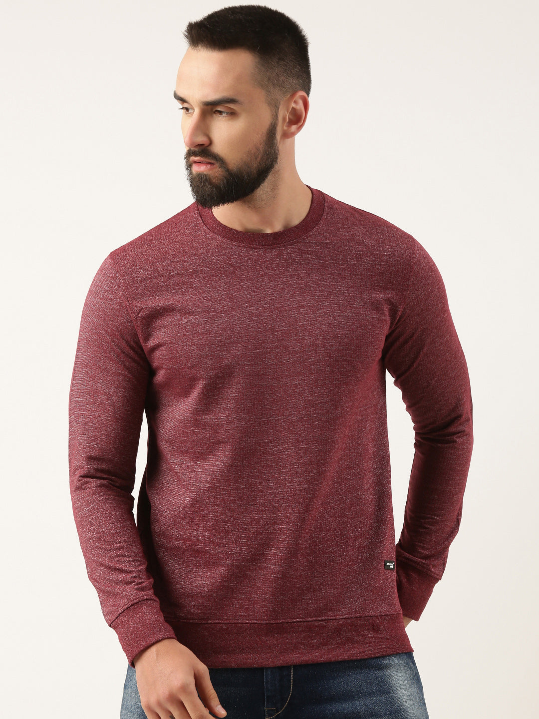 Men Wine Solid Sweatshirt